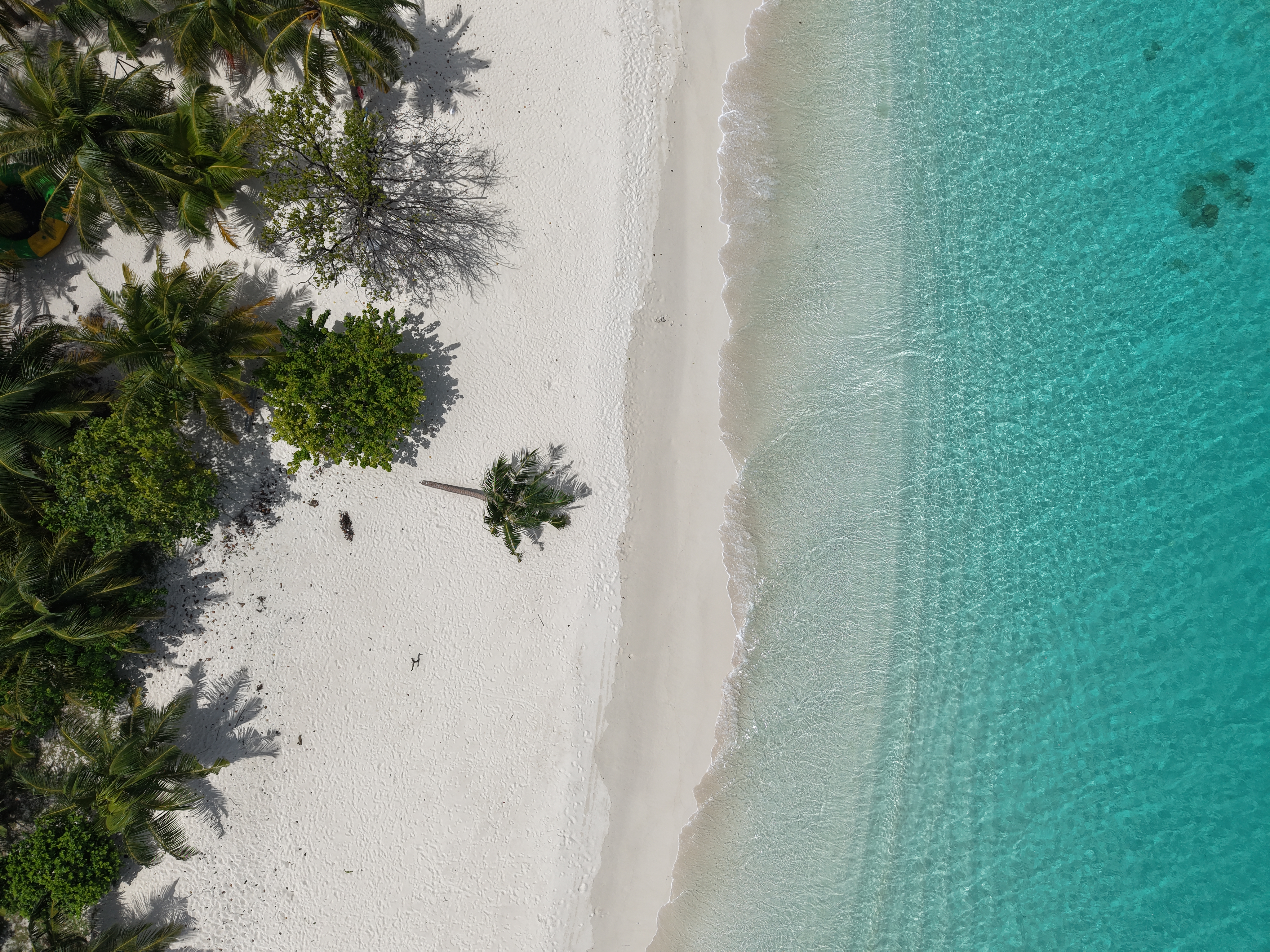 Bodu fasgandu