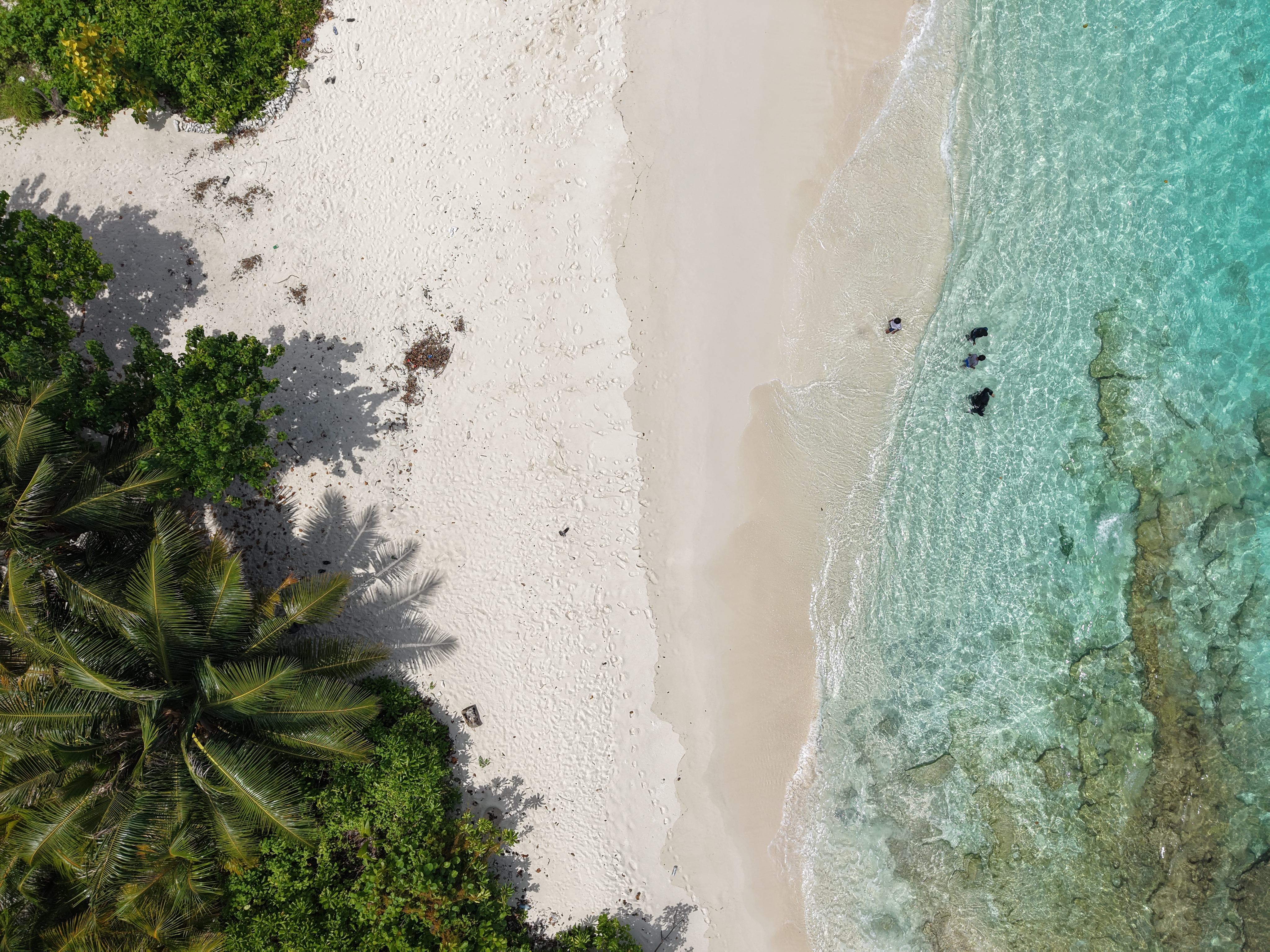 Bodu fasgandu