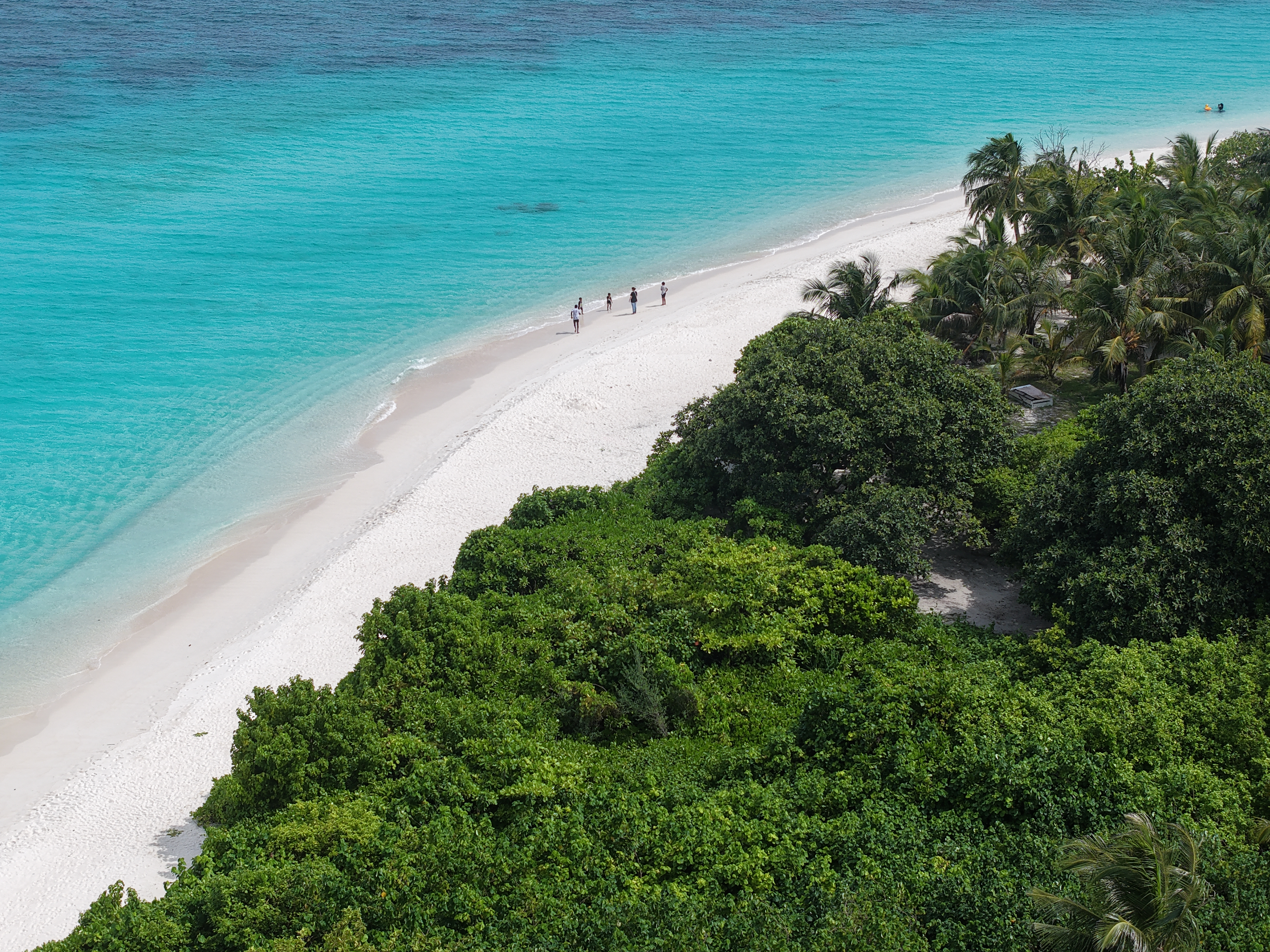 Bodu fasgandu