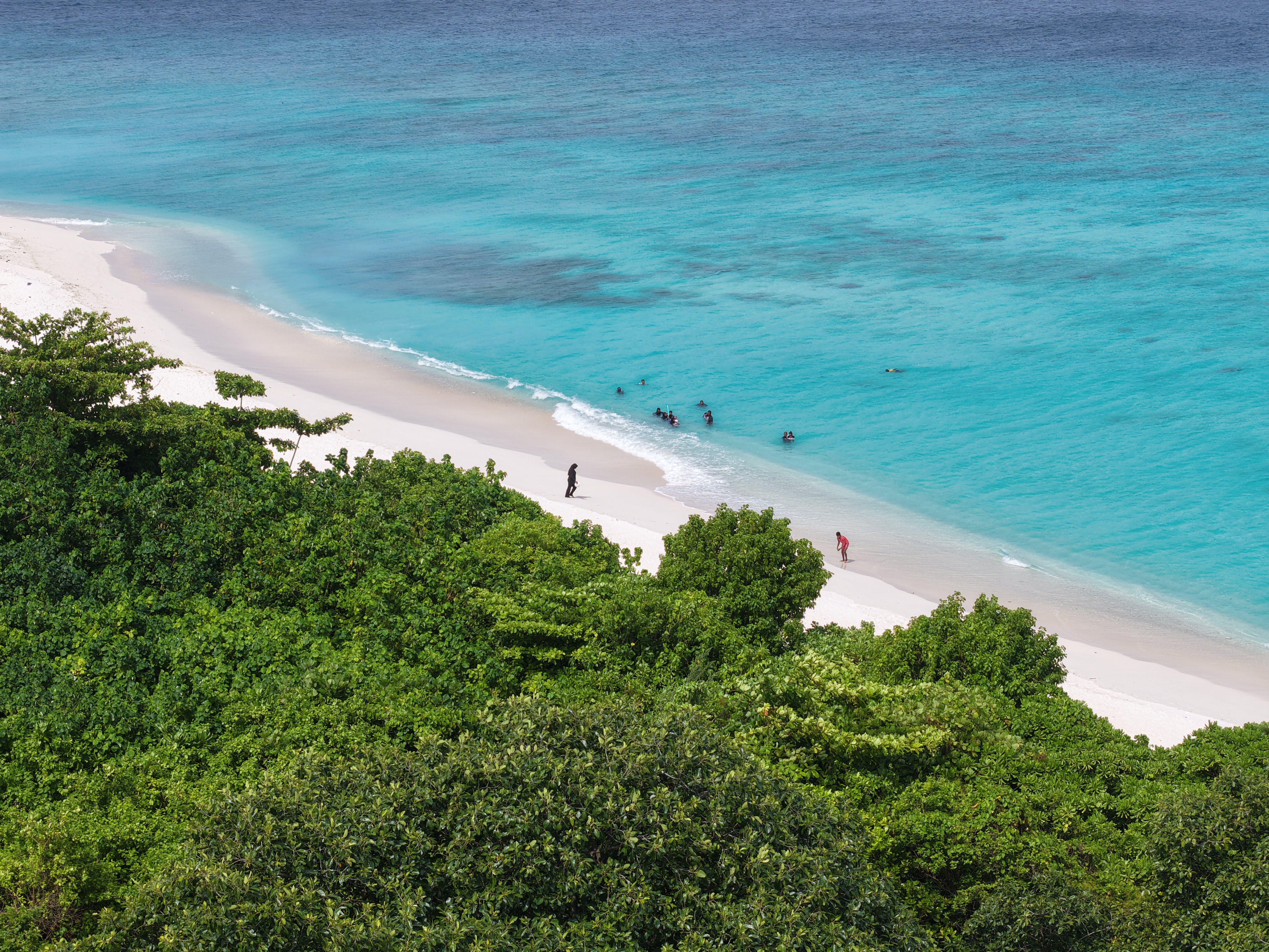 Bodu fasgandu