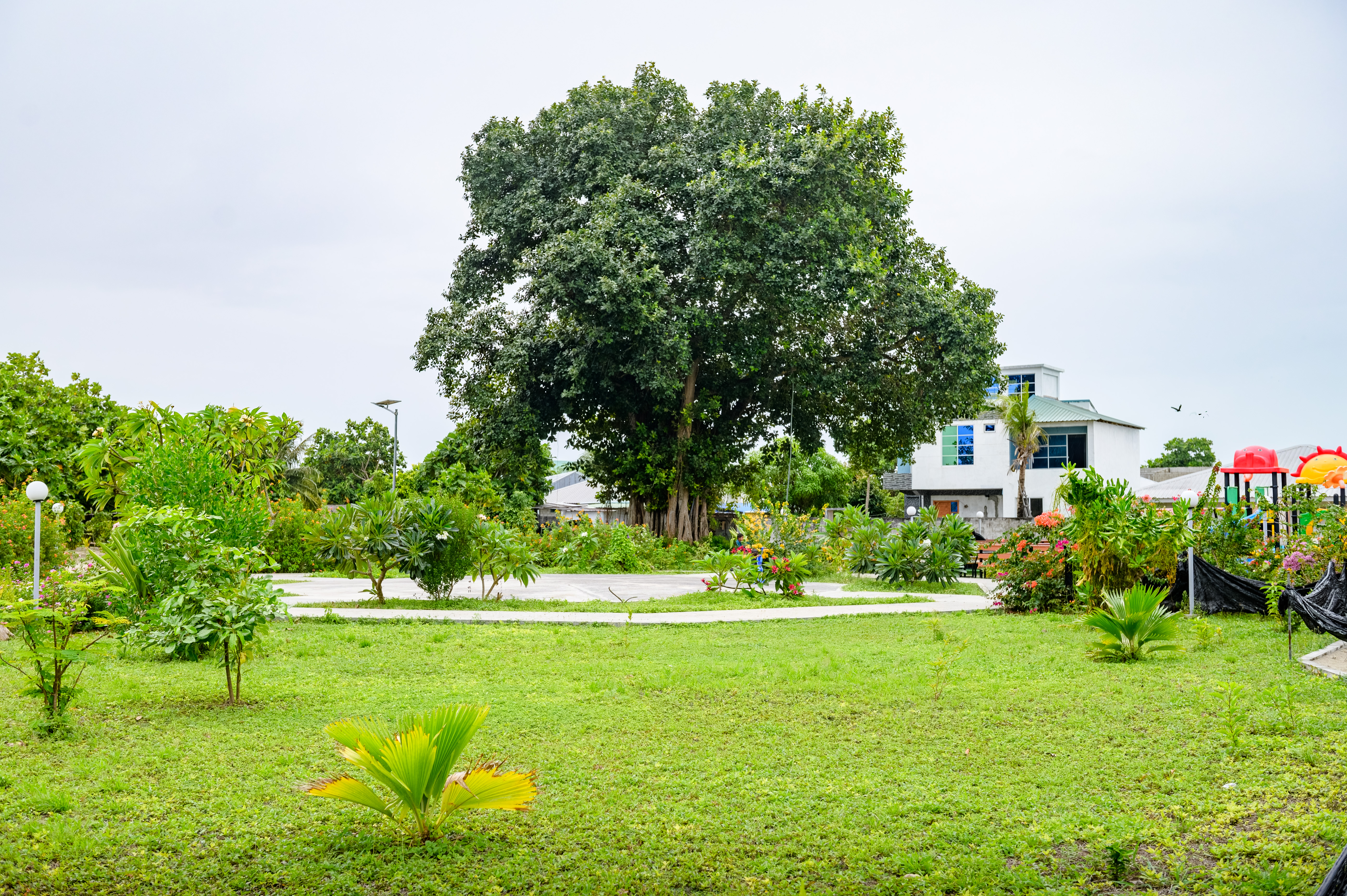 Nika Park