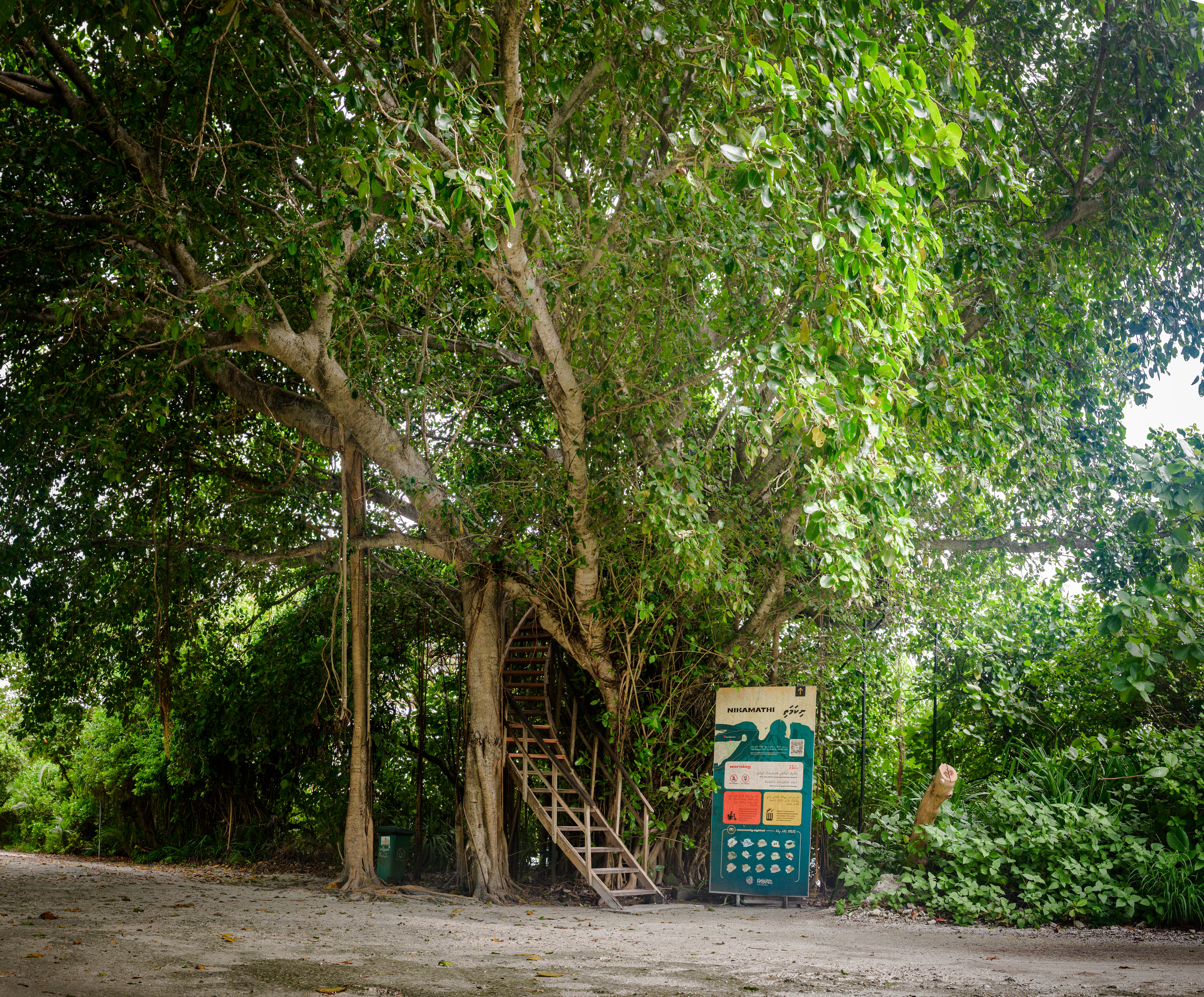 Nikamathi