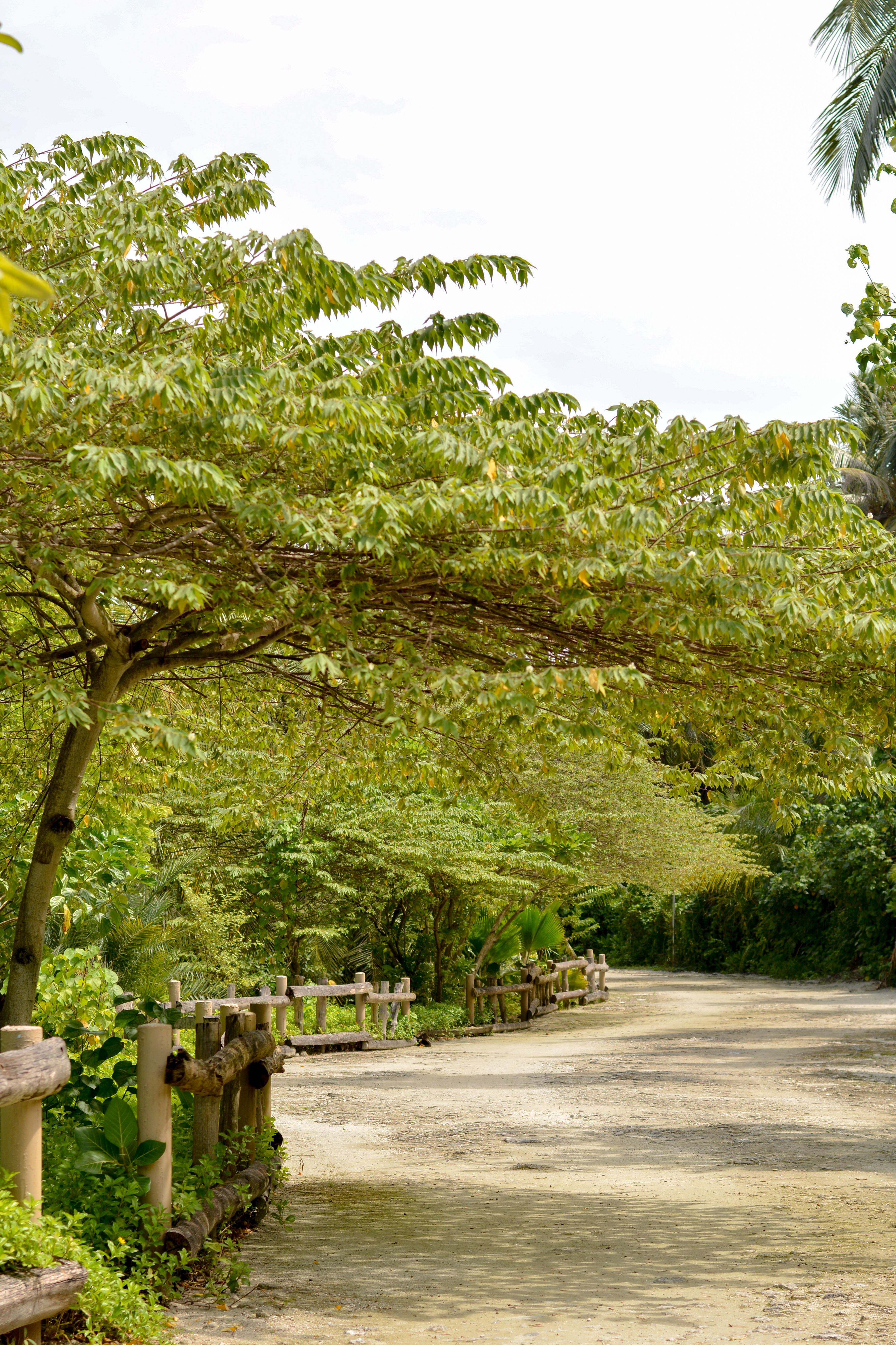 Thela Park