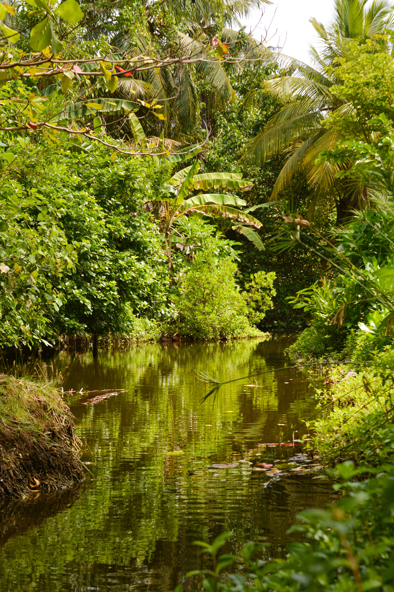 Kanditheemu - Image 5