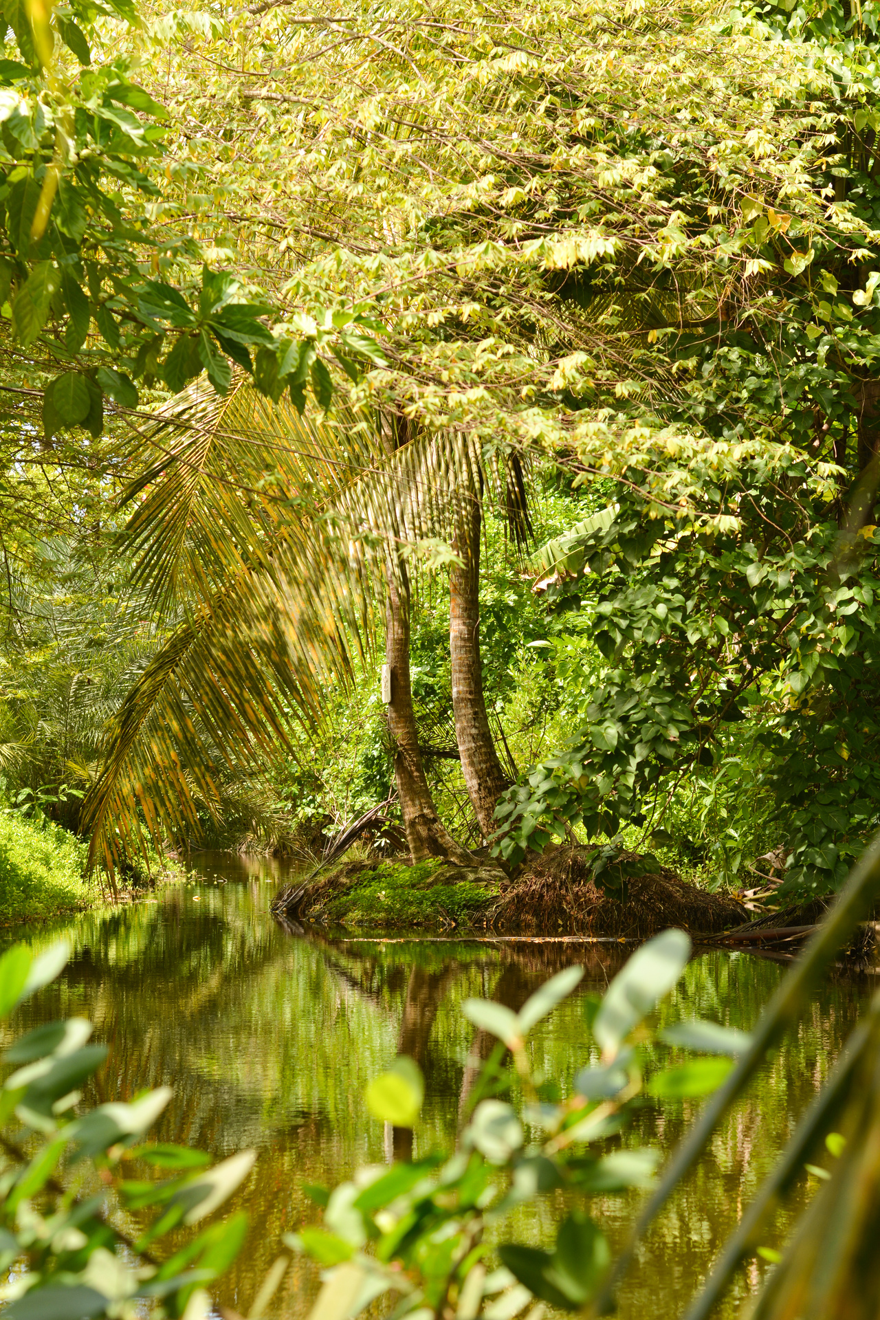 Kanditheemu - Image 6