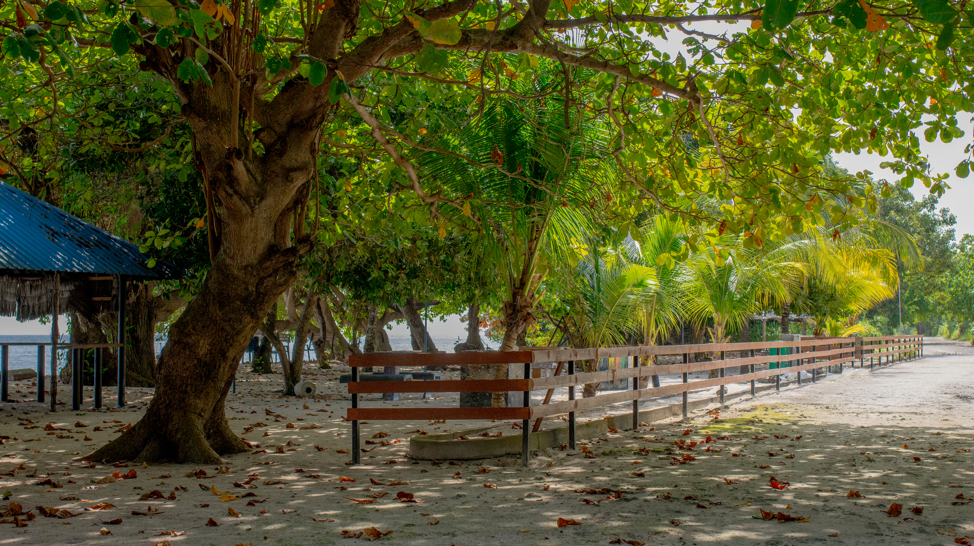 Kanditheemu - Image 7